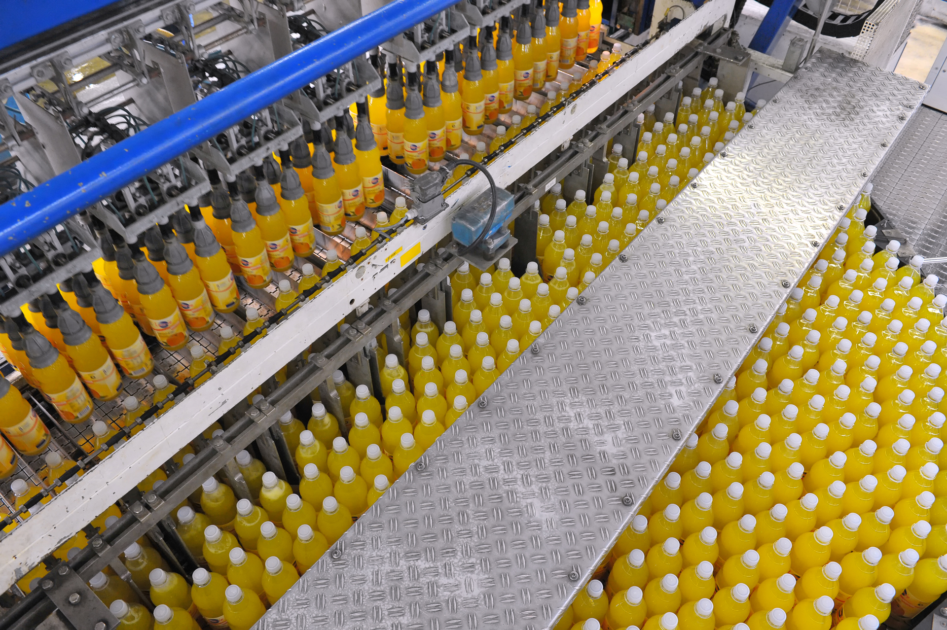 beverage production