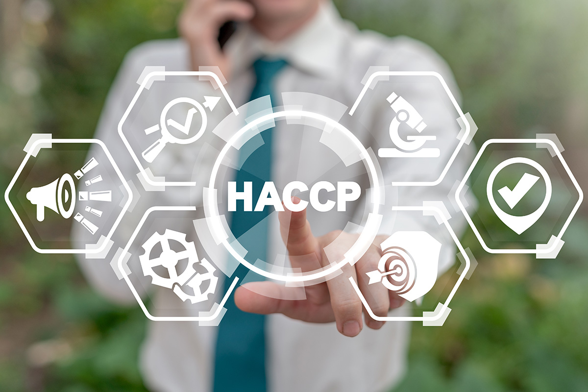 haccp